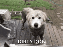 Is Manual Testing a Dirty Word?
