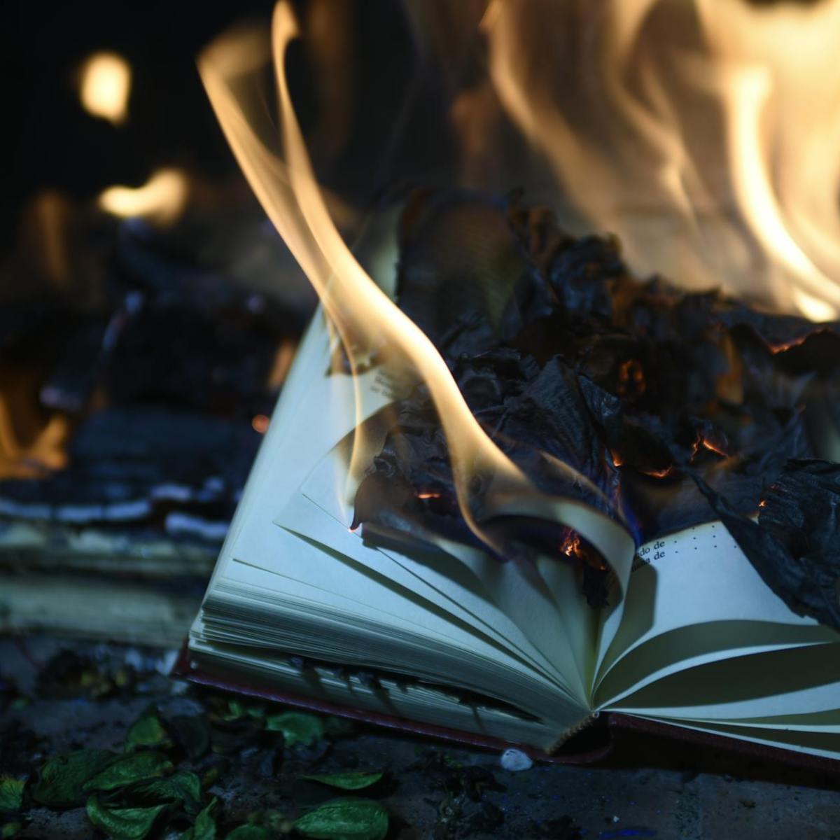 Slow burn – Changing things takes&nbsp;time